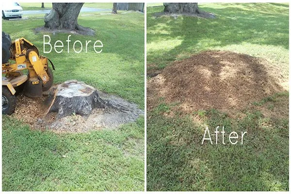 Affordable yard cleanup service for outdoor upgrades across Appleton, WI - Flat Out Stump Grinding & Lawn Rolling
