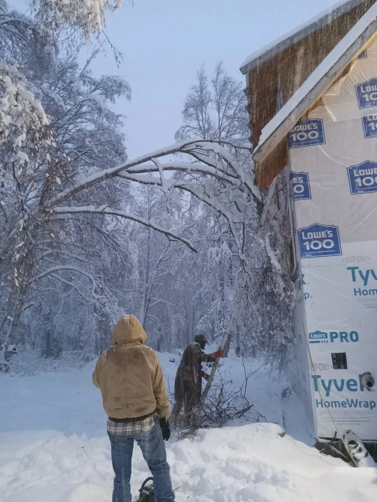 Top-rated yard cleanup service in Palmer, AK - Flat Rate Enterprise