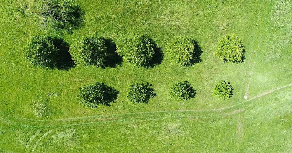 Local landscape installation for beautiful yards across Talking Rock, GA - Flatbush Lawncare