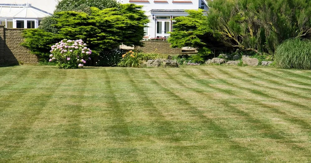 Affordable lawn mowing service for residential properties across Talking Rock, GA - Flatbush Lawncare