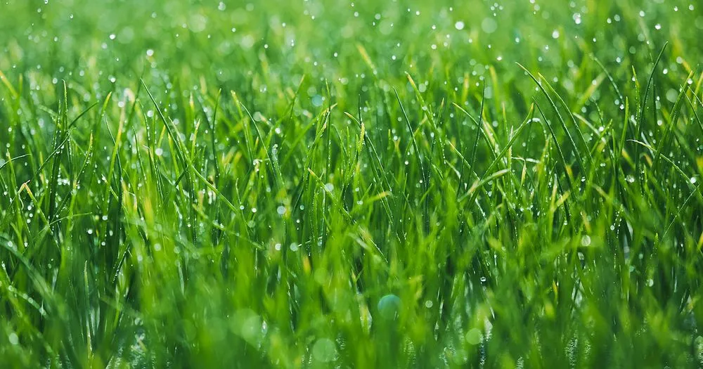 Trusted landscaping services in Talking Rock, GA - Flatbush Lawncare