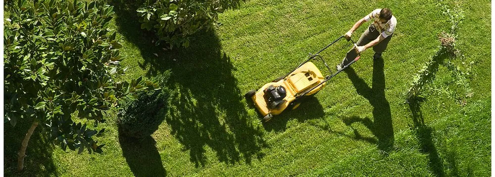 Professional landscaping services for beautiful yards across Talking Rock, GA - Flatbush Lawncare