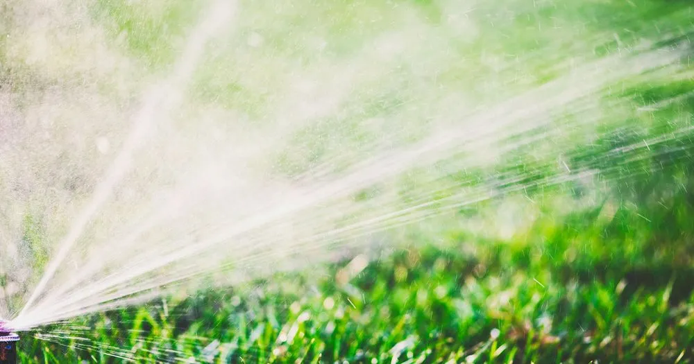 Reliable yard cleanup service in Talking Rock, GA - Flatbush Lawncare