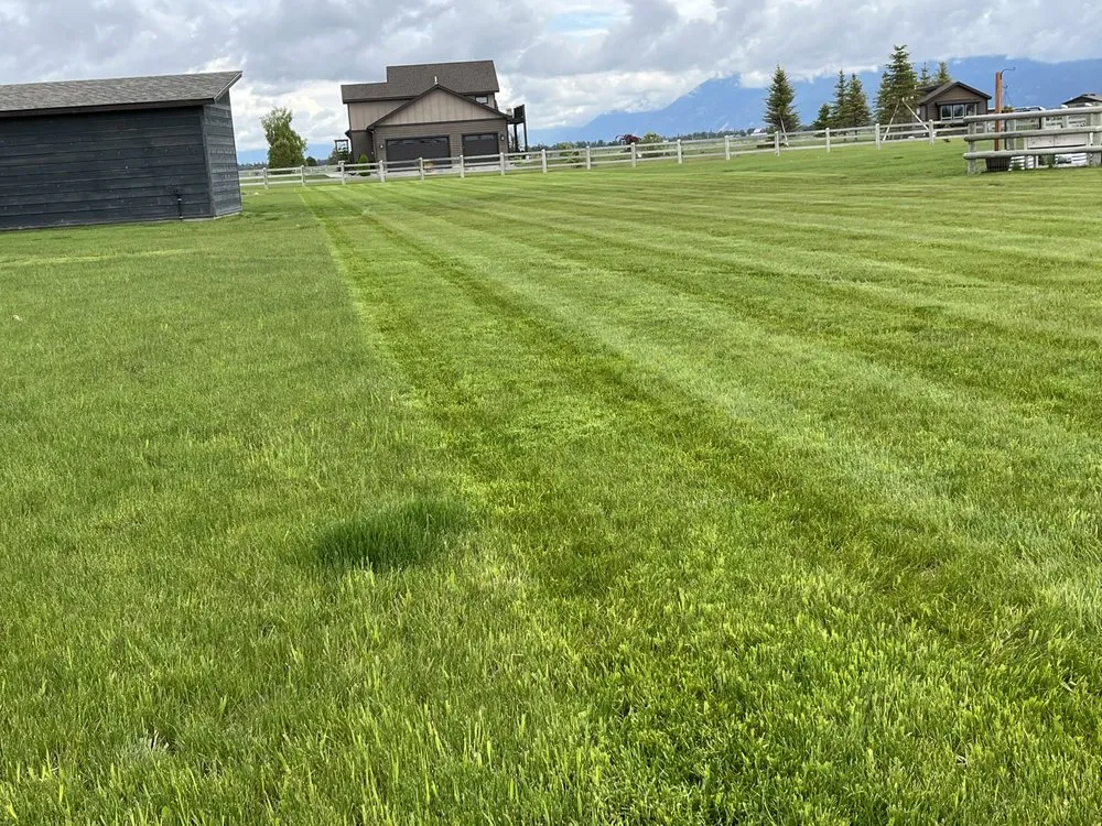 Trusted landscaping services for year-round maintenance across Kalispell, MT - Flathead Cut