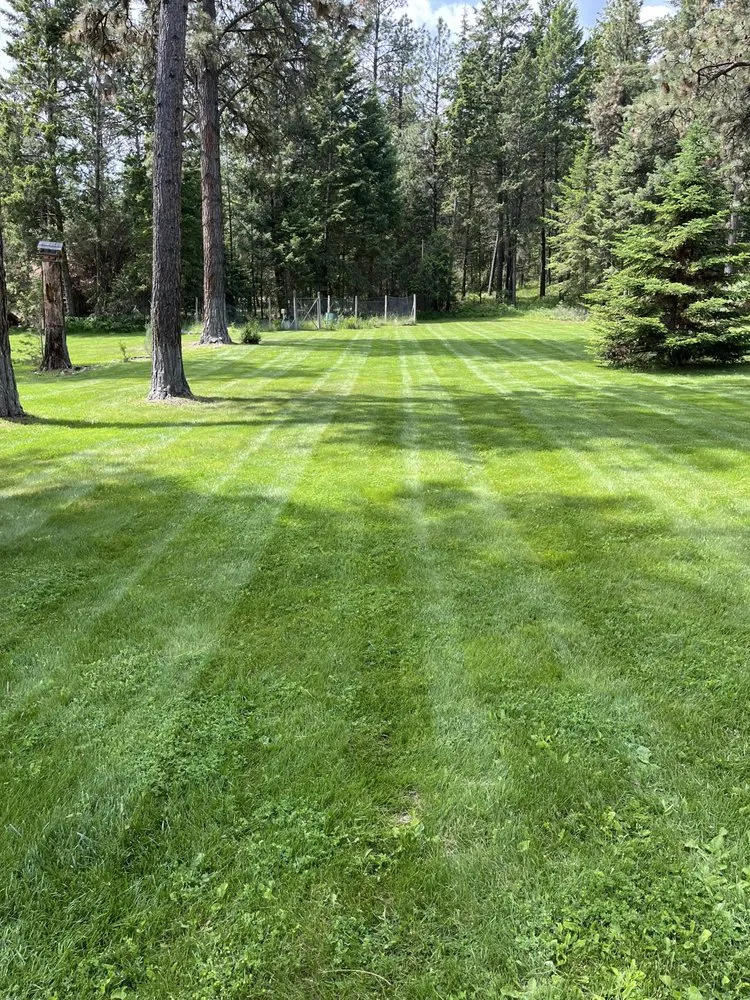 Expert outdoor landscaping experts serving Kalispell, MT - Flathead Cut