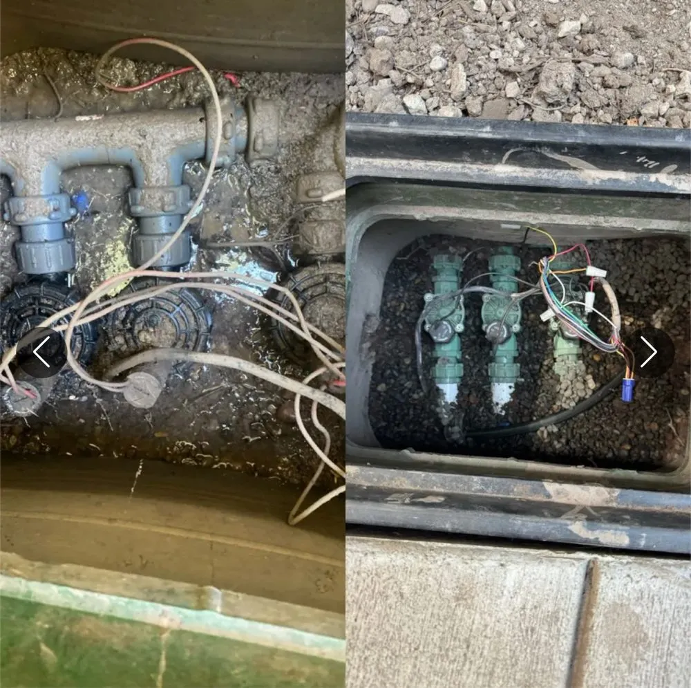 Expert yard cleanup service in Columbia Falls, MT - Flathead Yardworks