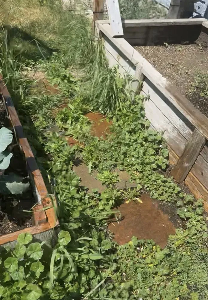 Local landscaping services in Columbia Falls, MT - Flathead Yardworks