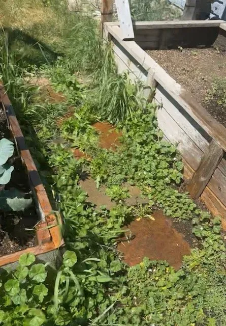 Top-rated lawn mowing service in Columbia Falls, MT by Flathead Yardworks