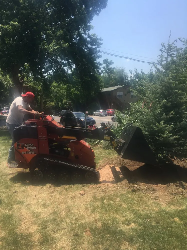 Affordable landscaping services in Longmont, CO by Flatiron Sprinkler