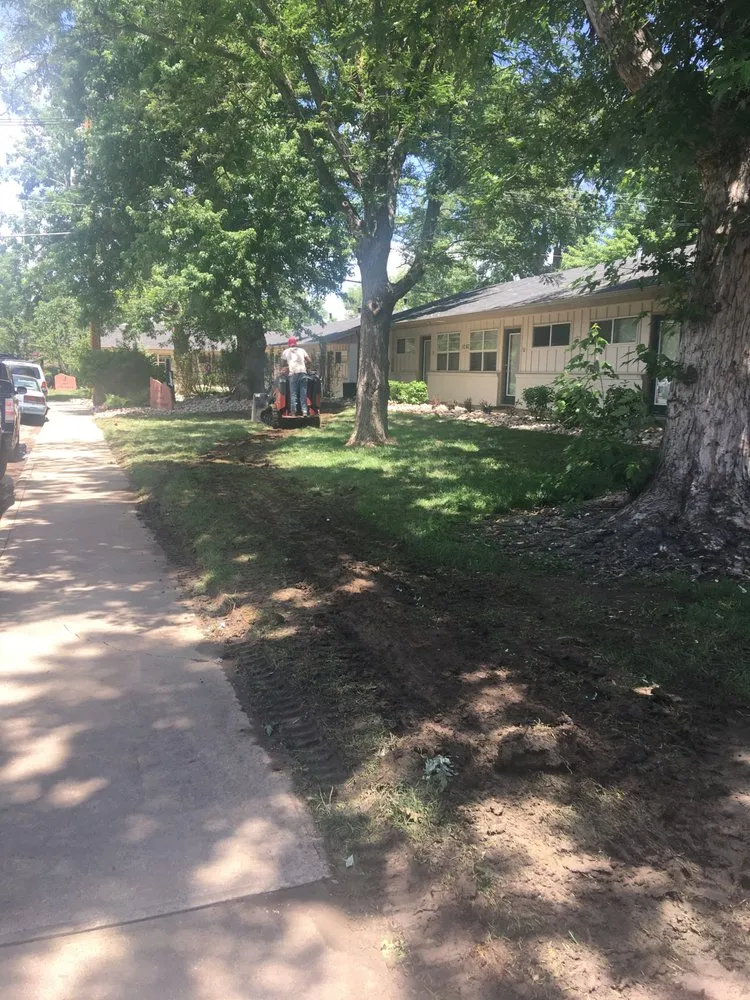 Top-rated lawn care service in Longmont, CO by Flatiron Sprinkler