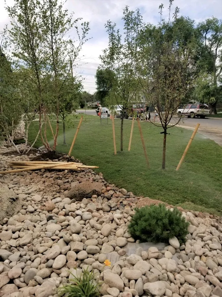 Top-rated yard maintenance in Longmont, CO by Flatiron Sprinkler