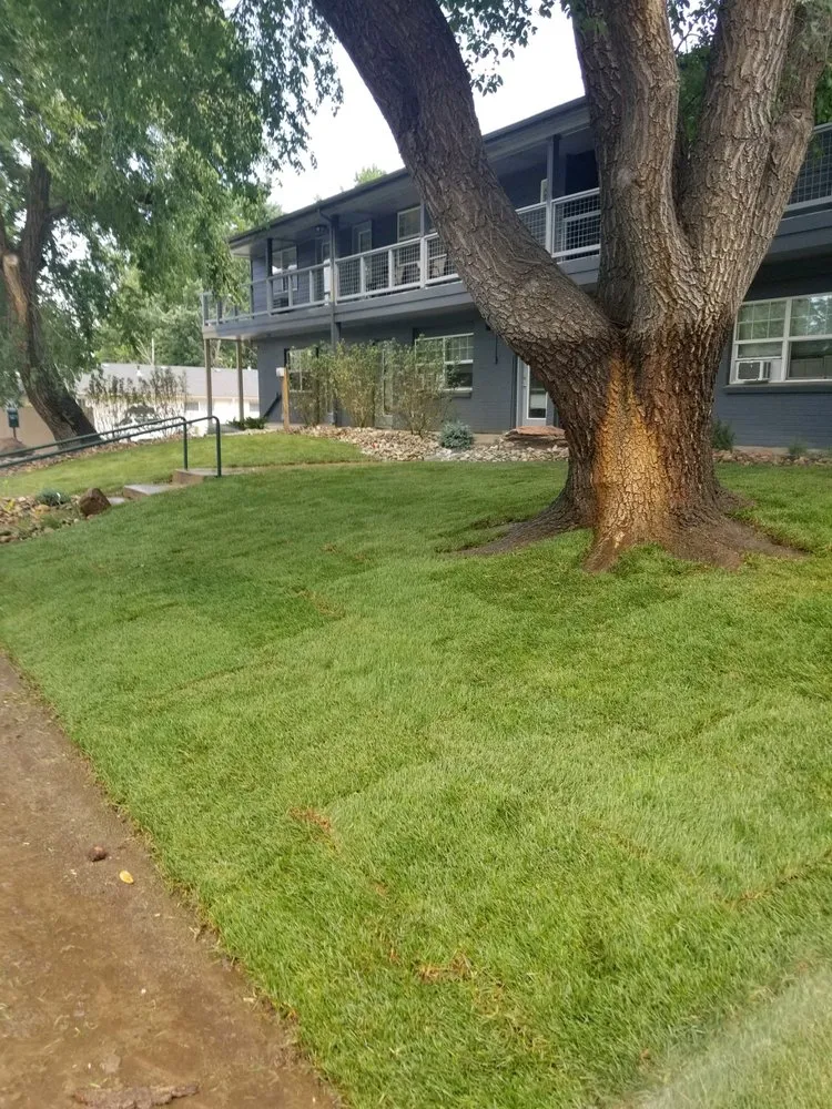 Trusted landscaping services experts serving Longmont, CO - Flatiron Sprinkler