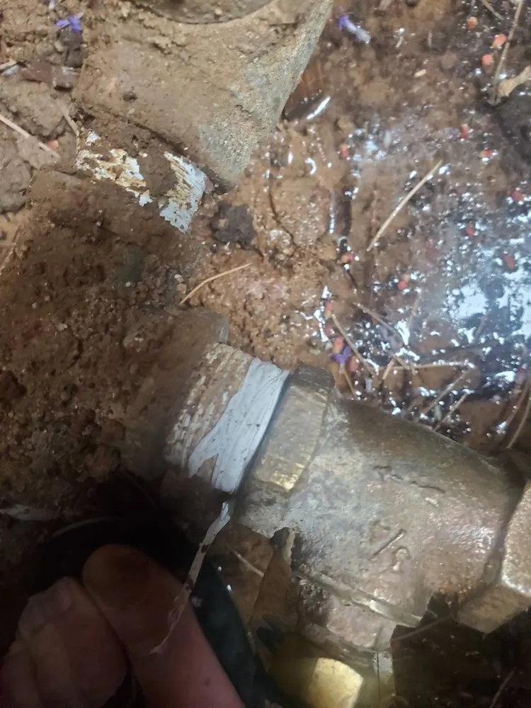 Top-rated lawn care service experts serving Longmont, CO - Flatiron Sprinkler