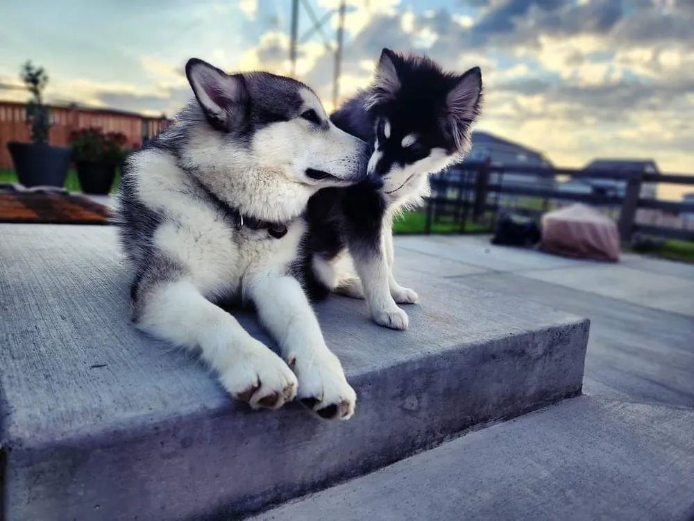 Local outdoor landscaping for residential properties across Longmont, CO - Flatirons Outdoor Living