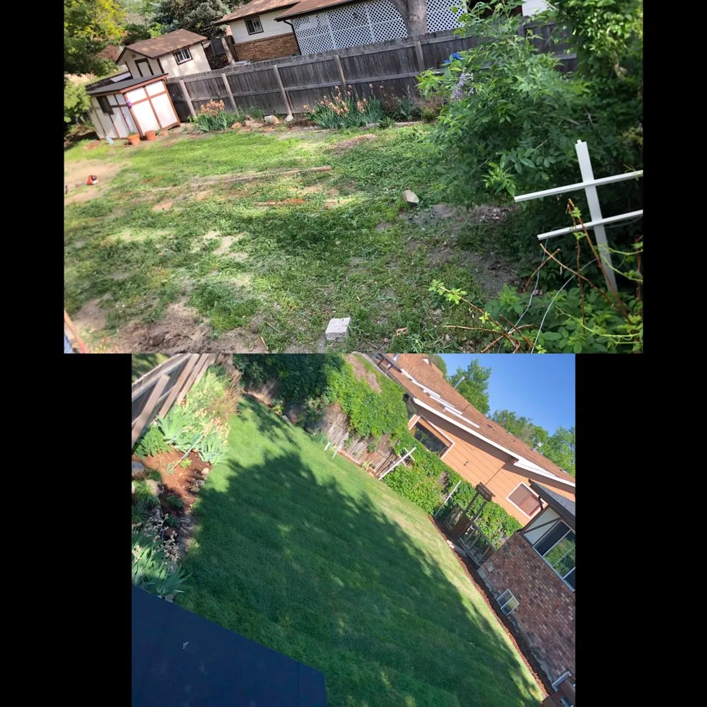 Custom yard maintenance experts serving Longmont, CO - Flatirons Outdoor Living