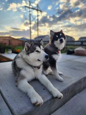 Flatirons Outdoor Living Logo