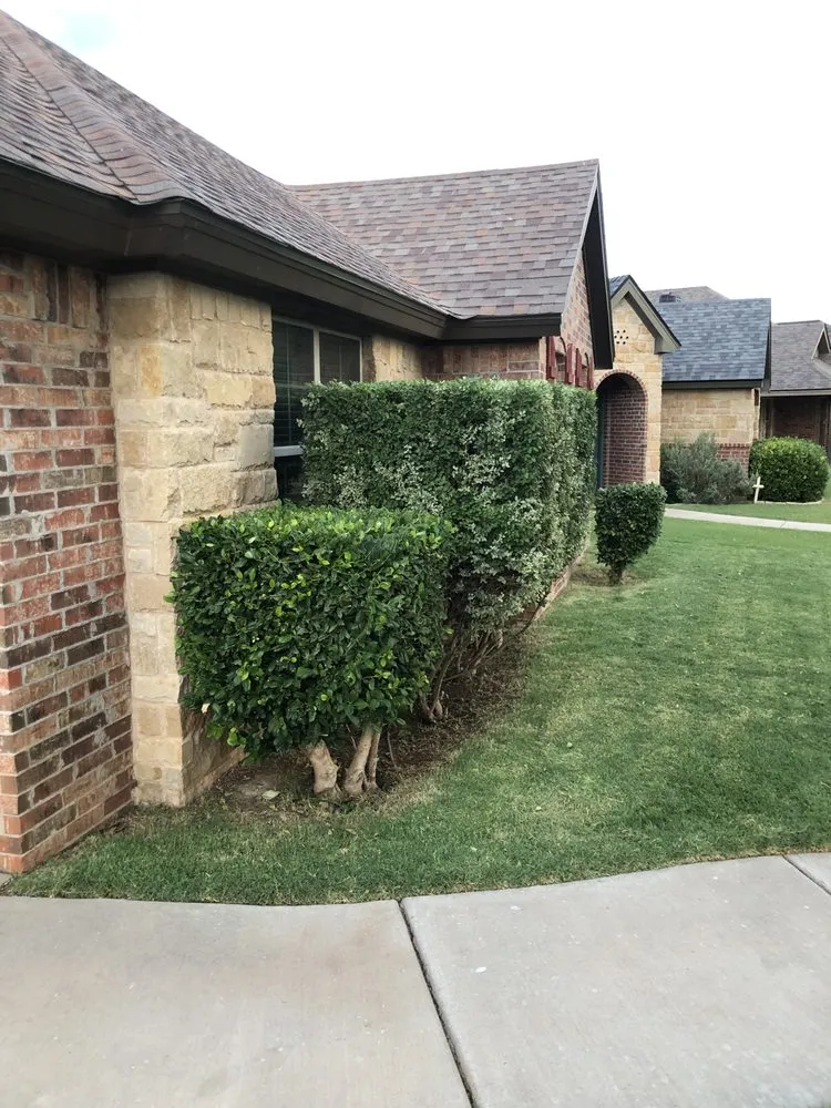 Top-rated landscaping services for outdoor upgrades across Lubbock, TX - Flatland Lawn Services