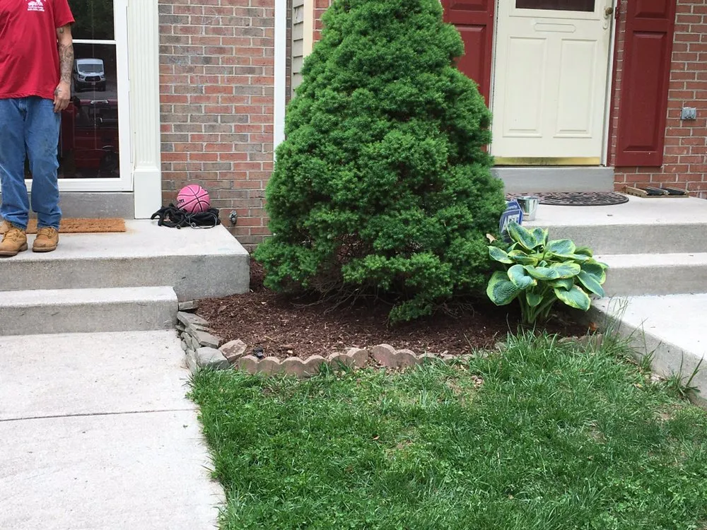 Reliable yard maintenance in Culpeper, VA - Flatline Design & Landscape