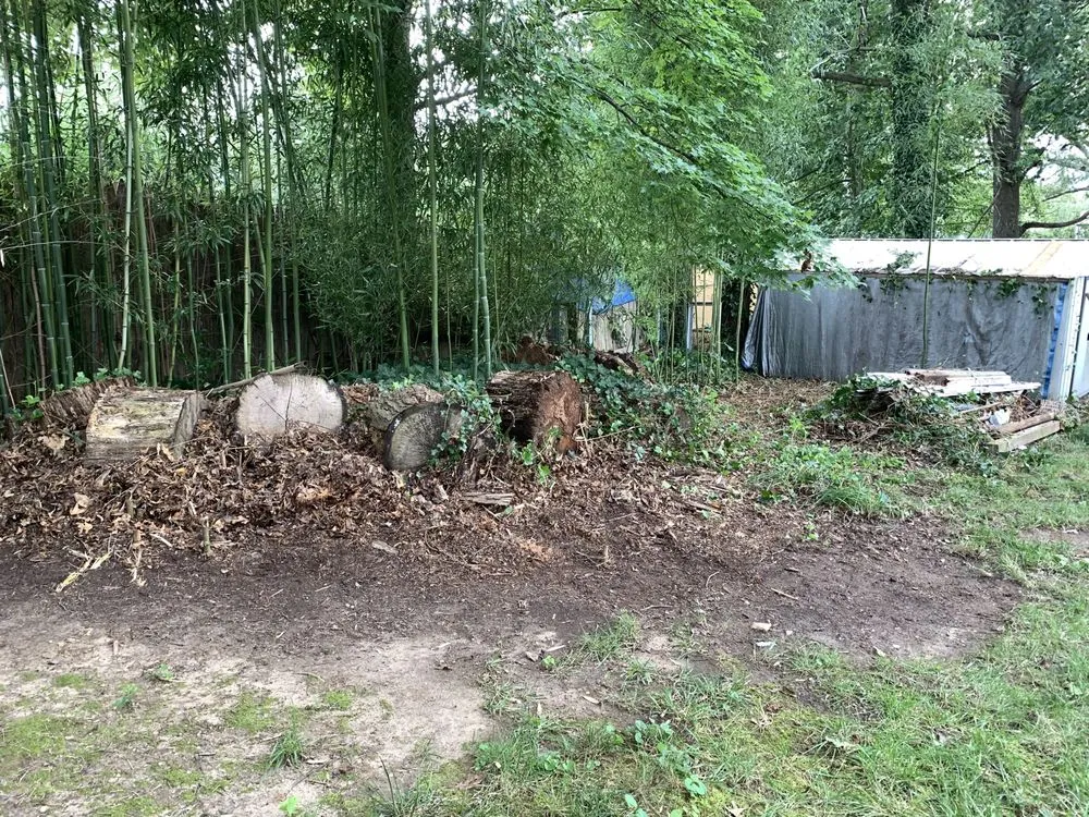 Custom landscaping services experts serving Culpeper, VA - Flatline Design & Landscape