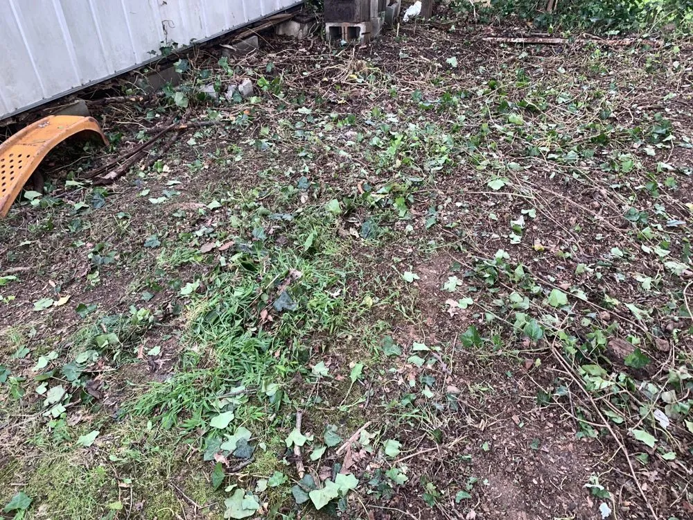 Custom lawn care service experts serving Culpeper, VA - Flatline Design & Landscape