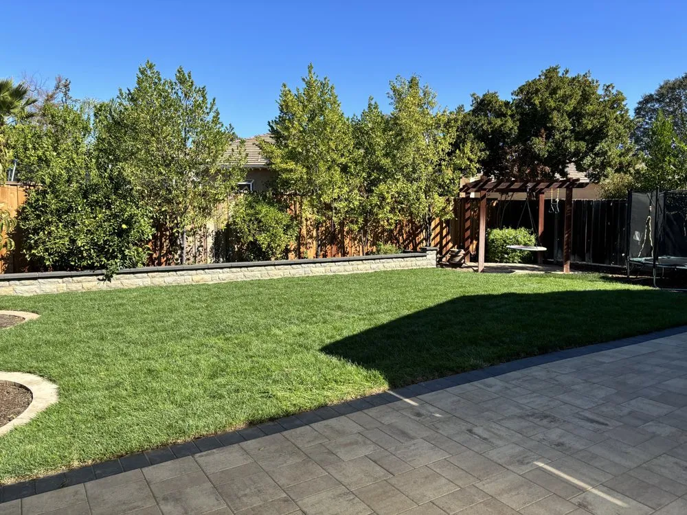 Reliable yard cleanup service for residential properties in San Jose, CA by Flatstone Landscaping
