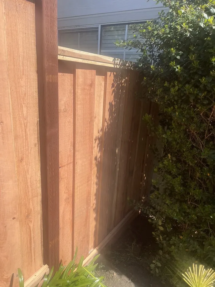 Expert landscape design for beautiful yards in San Jose, CA by Flatstone Landscaping