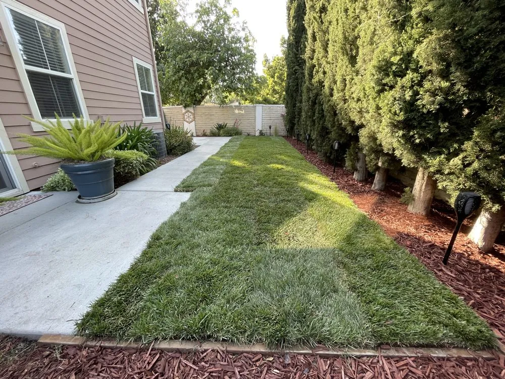 Professional garden landscaping in San Jose, CA by Flatstone Landscaping