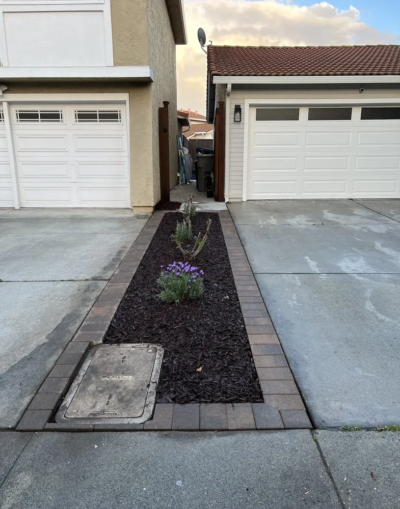 Trusted yard maintenance in San Jose, CA - Flatstone Landscaping