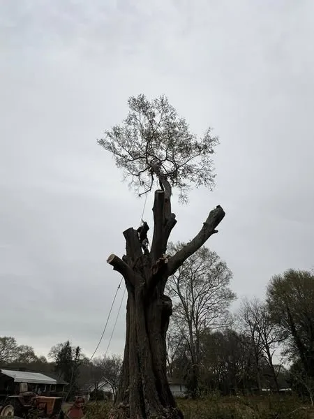 Trusted landscaping services in Piedmont, SC - Flavell's Land Management