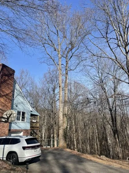 Professional outdoor landscaping in Piedmont, SC - Flavell's Land Management