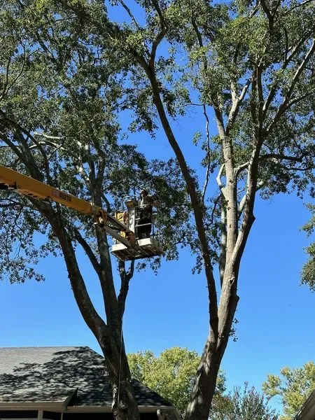 Reliable residential landscaping for residential properties in Piedmont, SC by Flavell's Land Management