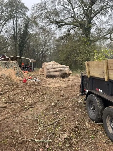 Top-rated yard maintenance for beautiful yards across Piedmont, SC - Flavell's Land Management