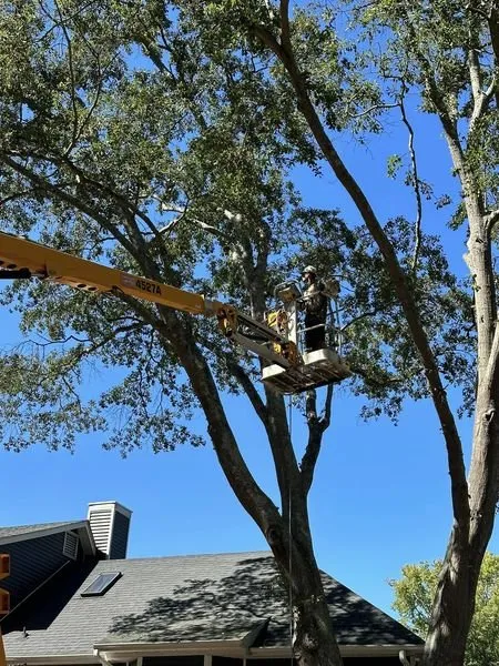 Expert garden landscaping in Piedmont, SC by Flavell's Land Management