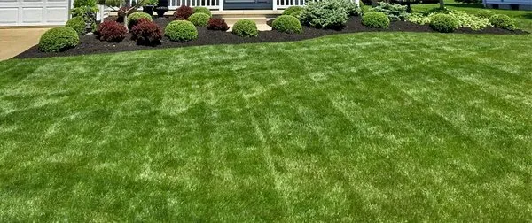 Flaves Lawn Care