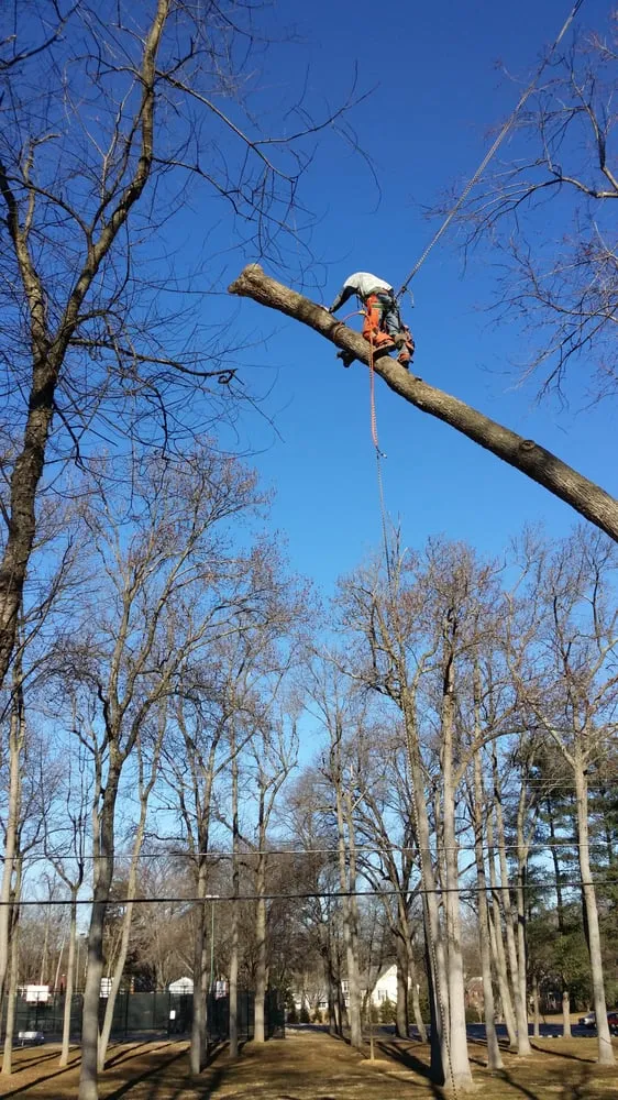 Trusted garden landscaping experts serving Annandale, VA - Flavio Domeneck Landscaping Inc.