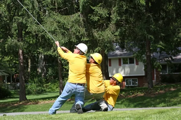 Affordable residential landscaping in Annandale, VA by Flavio Domeneck Landscaping Inc.