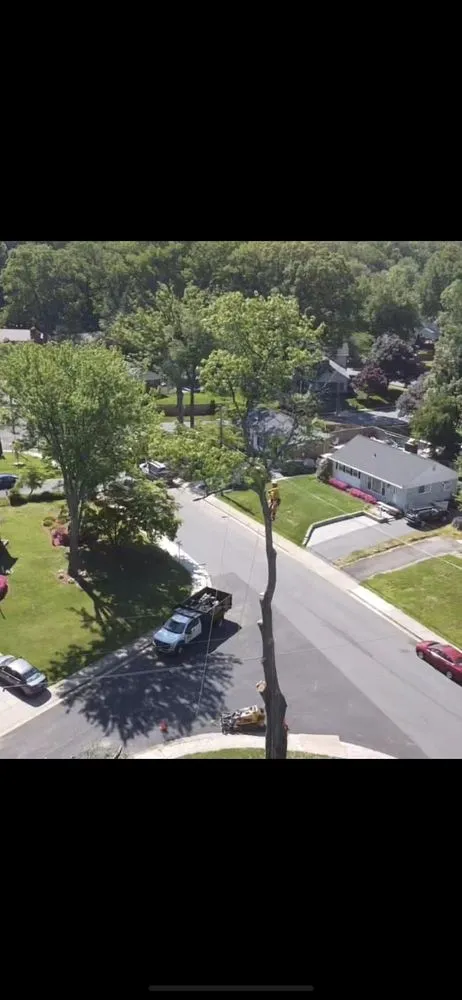 Professional outdoor landscaping for homes across Annandale, VA - Flavio Domeneck Landscaping Inc.