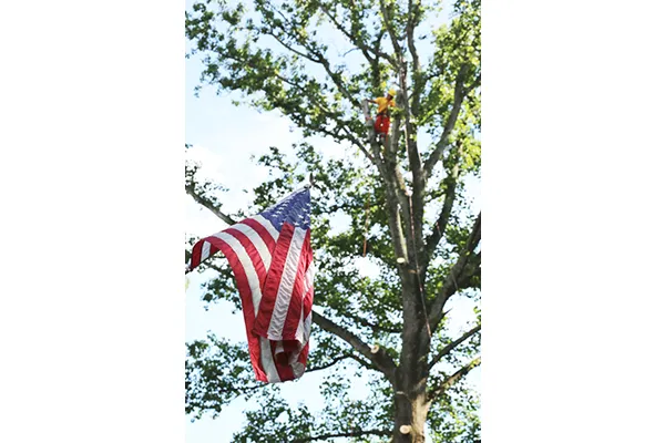 Local residential landscaping for residential properties in Annandale, VA by Flavio Domeneck Landscaping Inc.