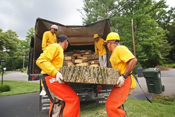 Top-rated lawn mowing service in Annandale, VA by Flavio Domeneck Landscaping Inc.