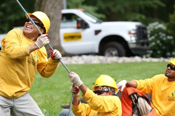 Flavio Domeneck Landscaping Inc.