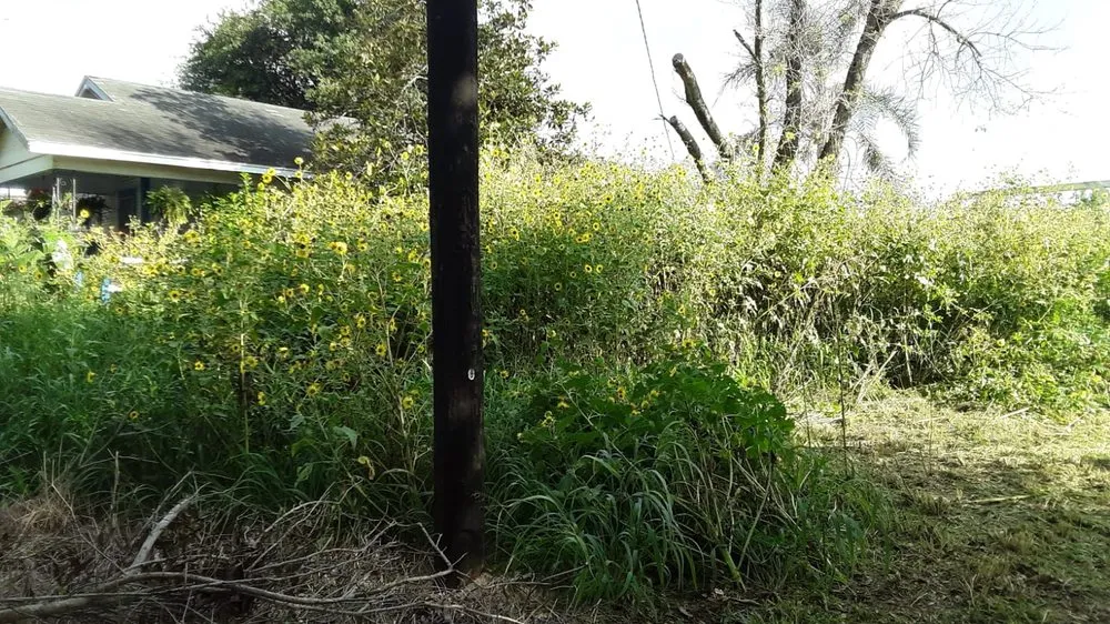 Professional landscape design experts serving Edinburg, TX - Flavio's Landscapings