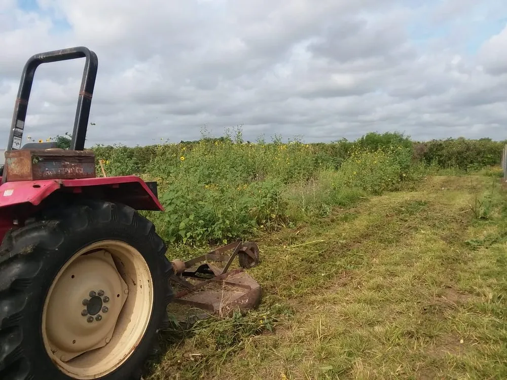 Reliable garden landscaping in Edinburg, TX by Flavio's Landscapings