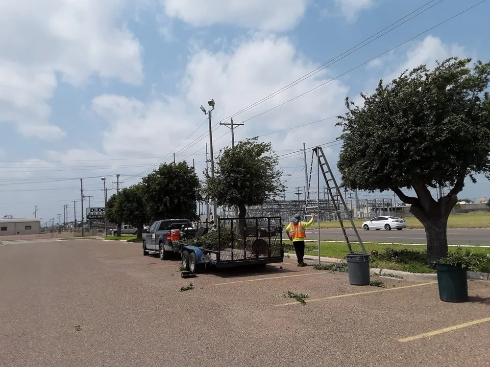 Reliable yard cleanup service in Edinburg, TX - Flavio's Landscapings