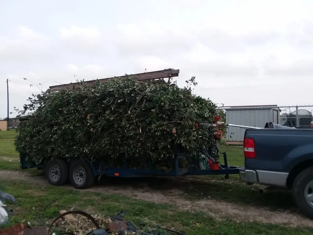 Expert residential landscaping with custom design in Edinburg, TX by Flavio's Landscapings