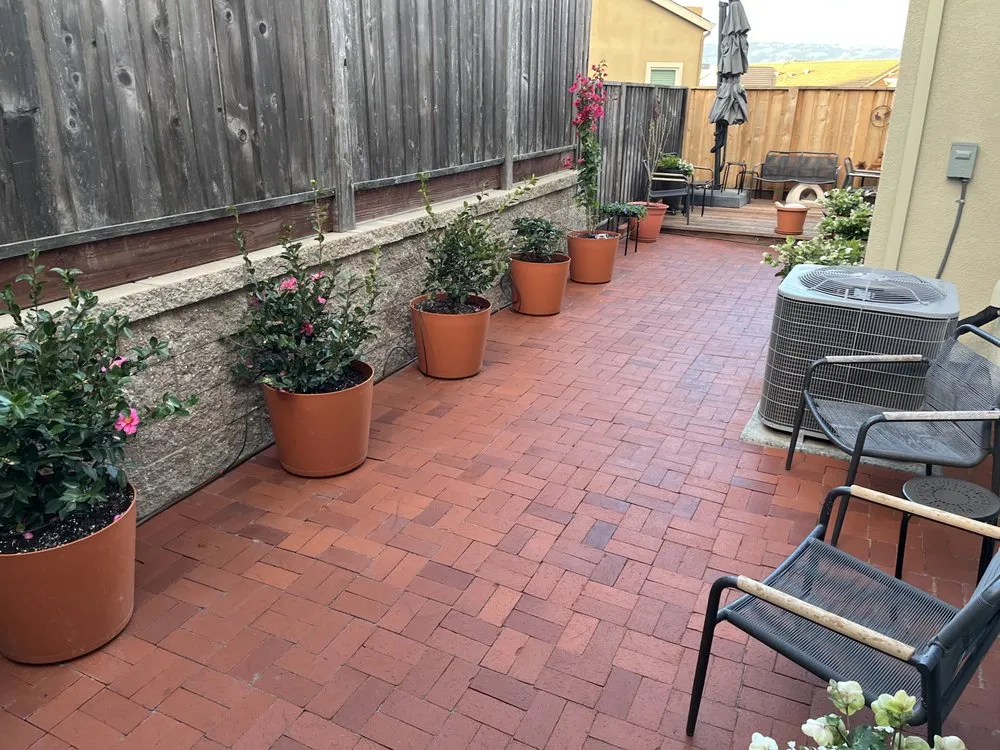 Expert lawn care service for homes across Petaluma, CA - Flawless & Fellas