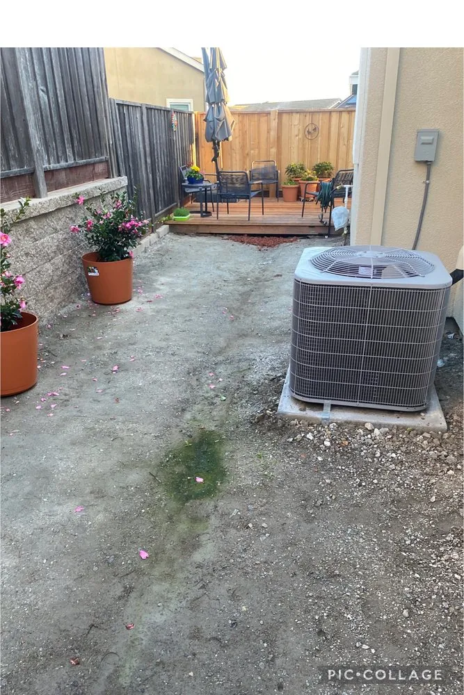 Top-rated garden landscaping in Petaluma, CA by Flawless & Fellas