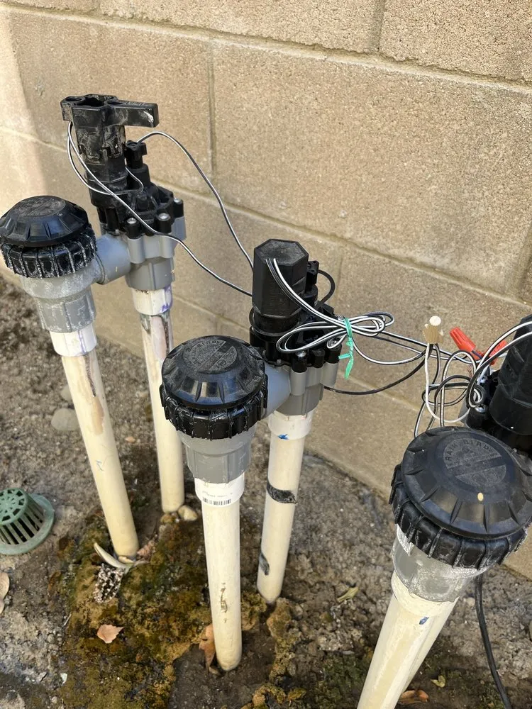 Local yard maintenance experts serving Santa Clarita, CA - Flawless Gardens