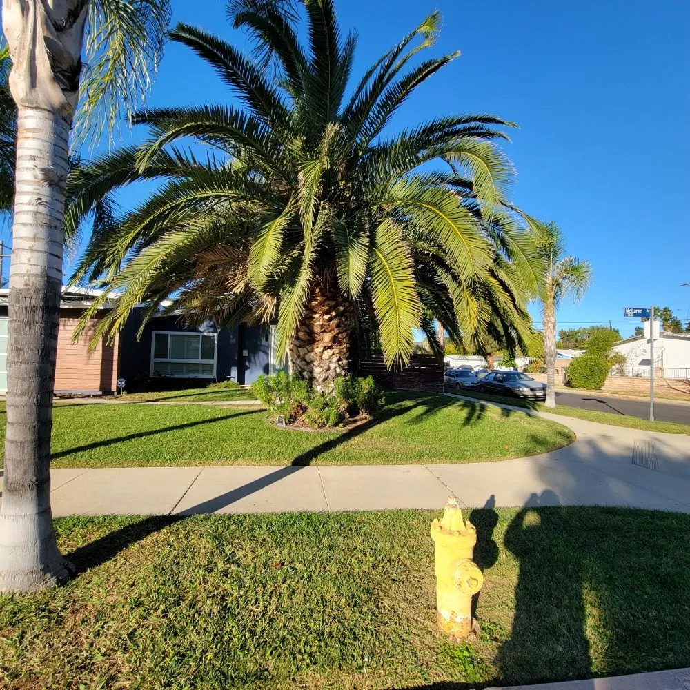 Custom outdoor landscaping in Santa Clarita, CA - Flawless Gardens