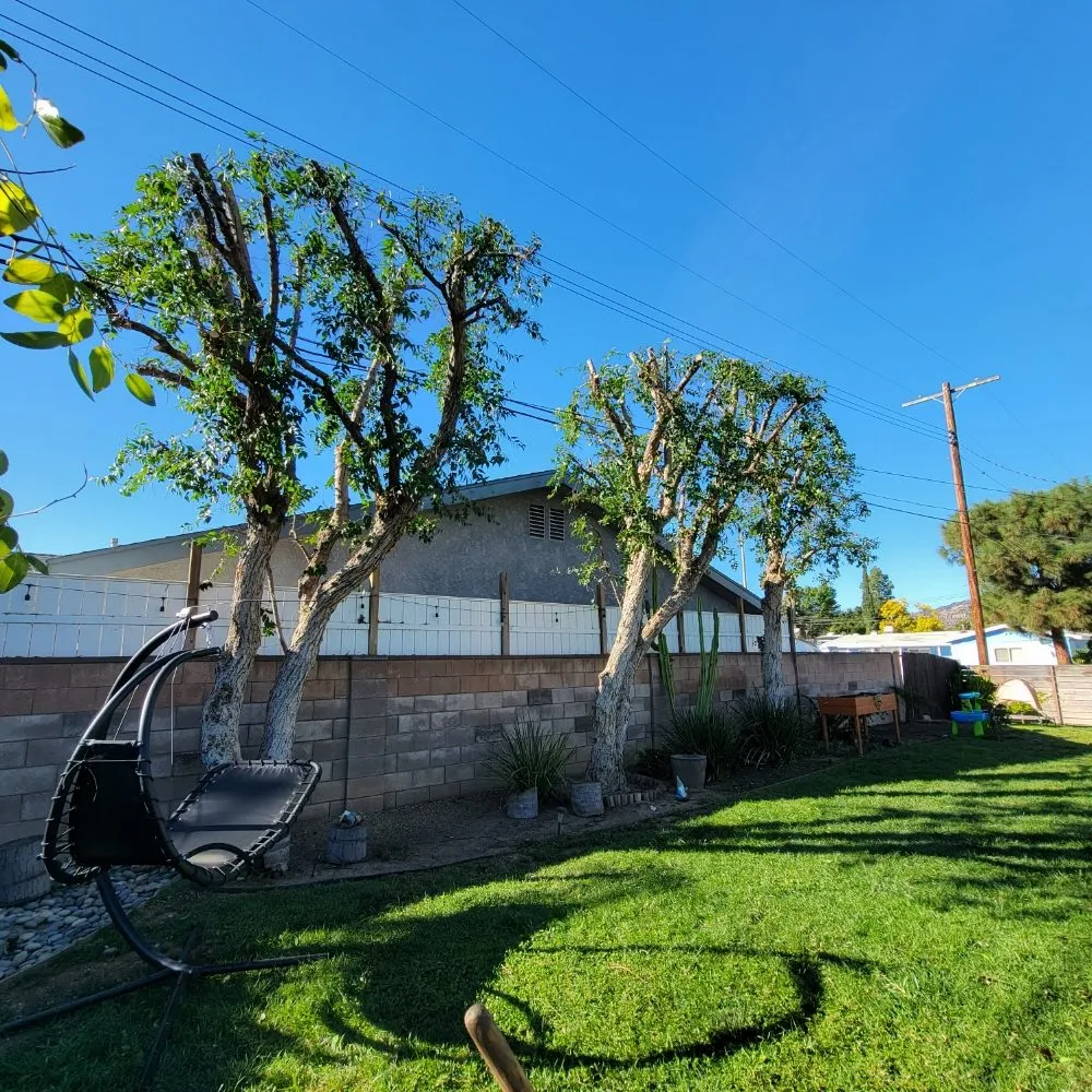 Custom yard maintenance for homes across Santa Clarita, CA - Flawless Gardens