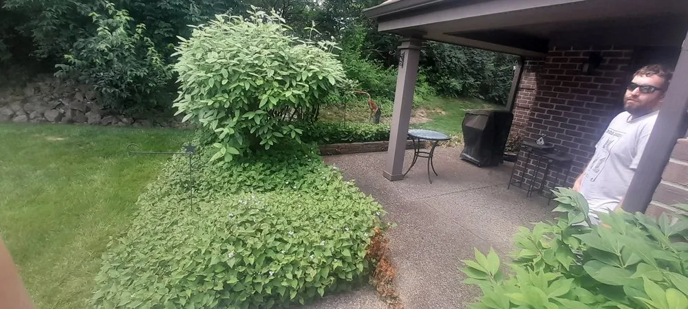 Expert garden landscaping for beautiful yards across Louisville, KY - Flawless Images Lawn and Landscaping